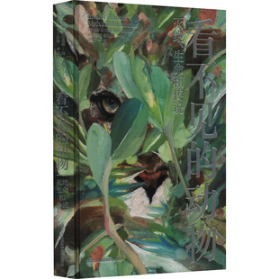 看不见的动物 灭绝、生命和传说 (西)加比·马丁内斯,(西)乔迪·塞拉隆加 著 苏澄宇 译 (西)乔安娜·桑塔曼斯 绘 生物科学