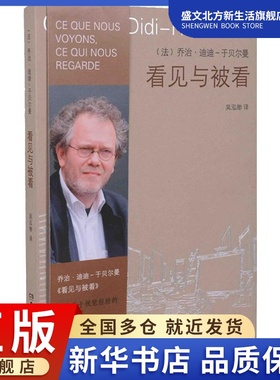 看见和被看 (法)乔治·迪迪-于贝尔曼(Georges Didi-Huberman) 著;吴泓缈 译 著作 美术理论 艺术 湖南美术出版社 图书
