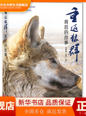 重返狼群背后的故事 李微漪 红娟 著 一部人狼情未了的旷世传奇难以割舍恒以在怀的牵挂 探寻人与自然和谐之道