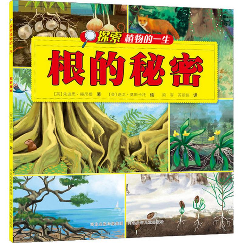 根的秘密 (英)朱迪思·赫尼根(Judith Henghan) 著；(英)迭戈·莫斯卡托(Diego Moscato) 绘；梁容,苏丽侠 译 少儿科普 少儿