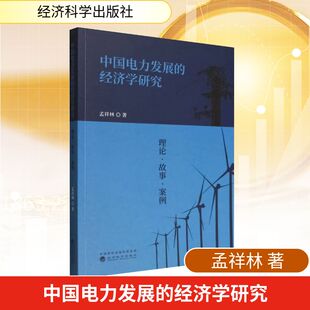 故事与案例经济理论 理论 法规 经济学研究 中国电力发展