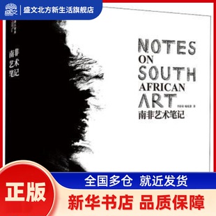南非艺术笔记 李舒弟 浙江工商大学出版社 新华书店正版