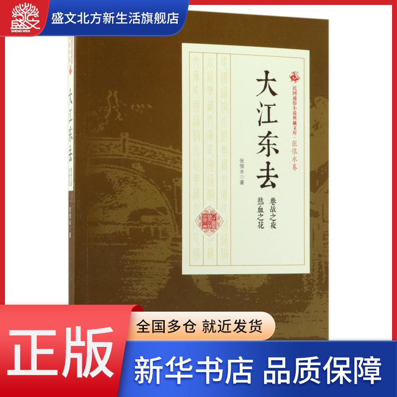大江东去(巷战之夜热血之花)/民国通俗小说典藏文库