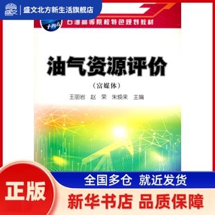 油气资源评价(富媒体) 王朋岩，赵荣，朱焕来 编 石油工业出版社 新华书店正版