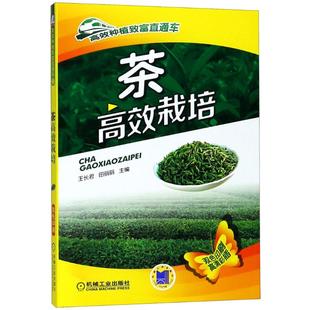茶栽培 王长君 田丽丽 主编 机械工业出版社 新华书店正版