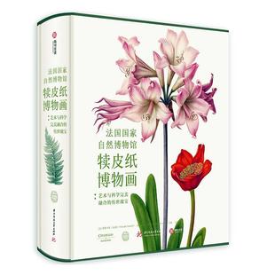 帕斯卡莱·厄泰尔 传世瑰宝 华中科技大学出版 社 9787568058209 书籍正版 艺术 法国国家自然博物馆犊皮纸博物画：艺术与科学融合