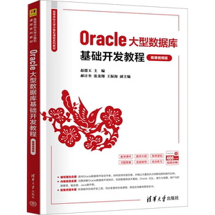 Oracle大型数据库基础开发教程 微课视频版大中专理科科技综合