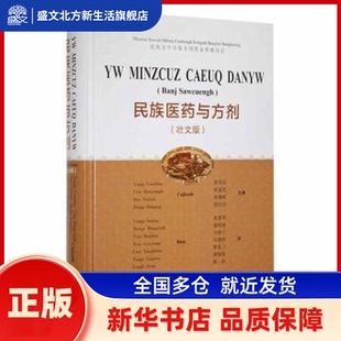 民族医药与方剂(壮文) 黄岑汉[等]主编 广西科学技术出版社 新华书店正版
