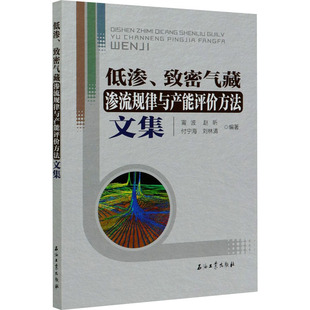 致密气藏渗流规律与产能评价方法文集化工技术 低渗
