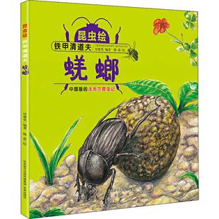 铁甲清道夫 蜣螂少儿科普