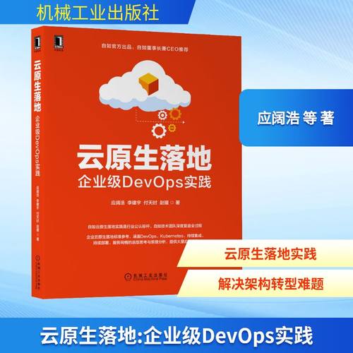 云原生落地 企业级DevOps实践编程语言