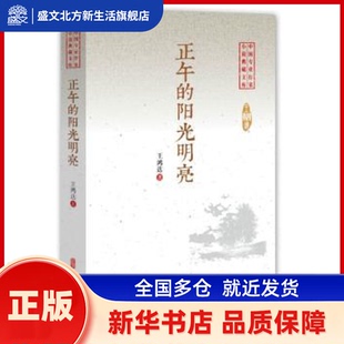 正午的阳光明亮 王鸿达 中国文史出版社 新华书店正版