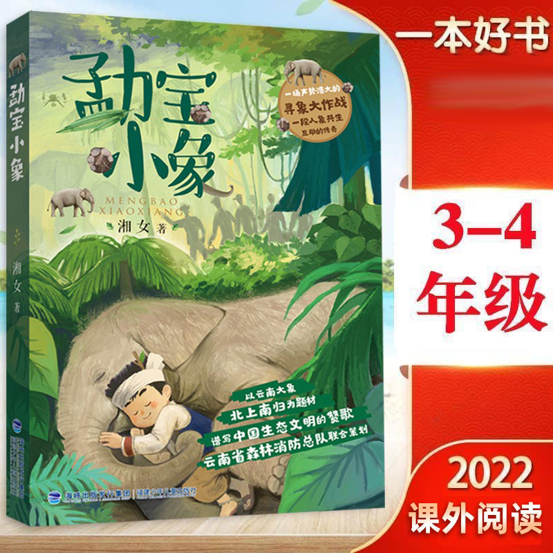 湘女著读一本好书9-12岁小学生三四五六年级课外阅读书籍云南大象迁徙