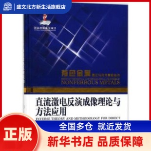 直流激电反演成像理论与方法应用 刘海飞，柳建新，麻昌英著 中南大学出版社 新华书店正版