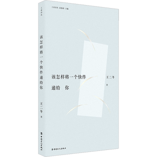 该怎样将一个快件递给你 王二冬 著 中国现当代文学 文学 中国工人出版社 图书