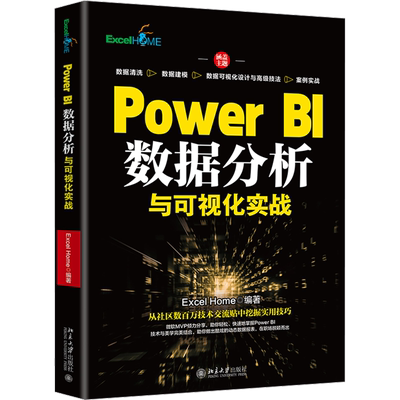 Power BI数据分析与可视化实战 Excel Home 编 数据库 专业科技 北京大学出版社 9787301333563 图书