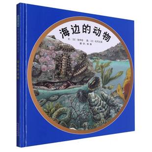 海边的动物（新） （日）松岗达英 河北教育 新华书店正版