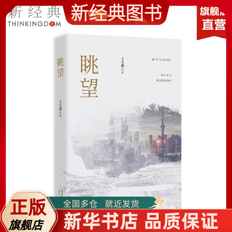 【新经典图书】眺望 王大进 现实主义长篇小说新作 都市浮沉真实书写