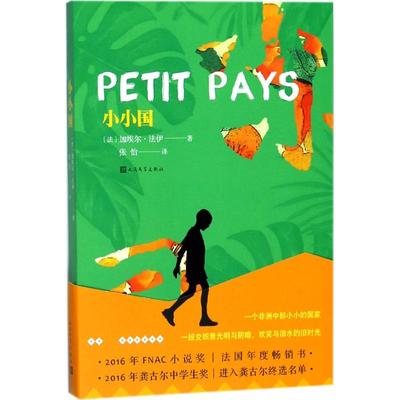 小小国 (法)加埃尔·法伊(Gael Faye) 著;张怡 译 著作 外国现当代文学 文学 人民文学出版社 图书