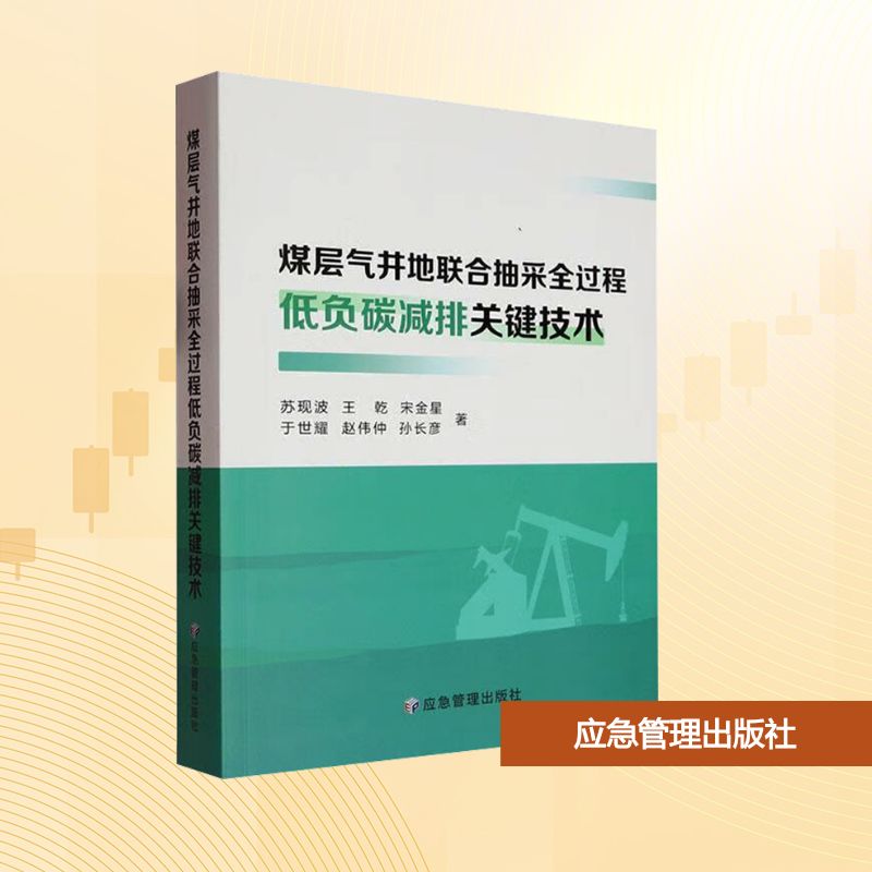 煤层气井地联合抽采全过程低负碳减排关键技术大中专高职机械