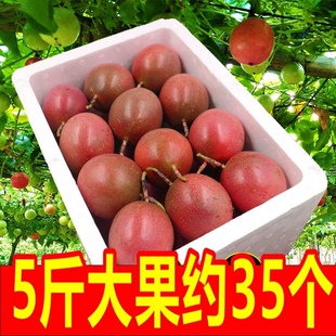 百香果一级特大果新鲜水果包邮紫皮百香果柠檬果酱云南水果茶