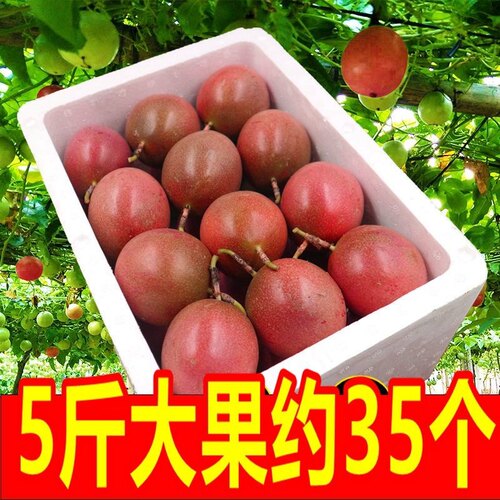 百香果一级特大果新鲜水果包邮紫皮百香果柠檬果酱云南水果茶