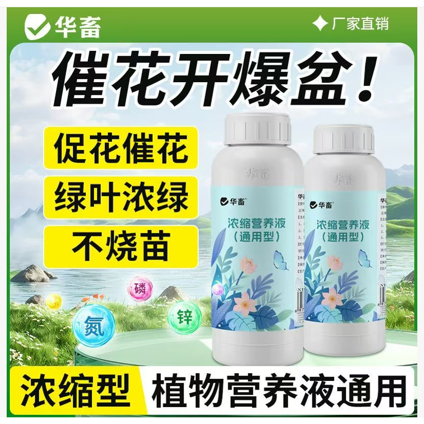 爆花促生根通用营养液,鲜花速递/花卉仿真/绿植园艺,家庭园艺肥料,淘宝优惠券,粉丝福利购,淘宝优惠卷