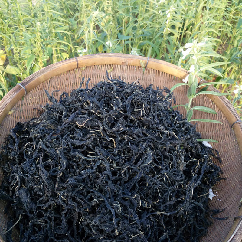 河南干芝麻叶河南土特产