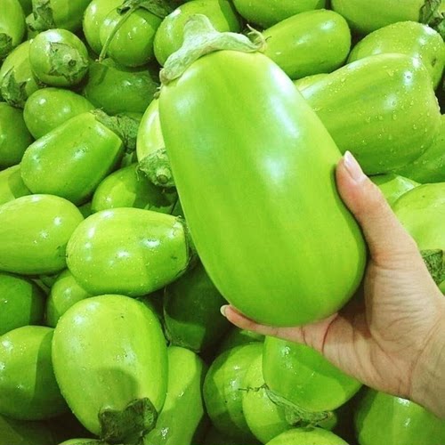 河南现摘鲜嫩茄子京东顺丰包邮