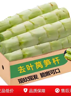 农民自种土莴笋香莴青笋尖当季时令新鲜绿色清炒去叶莴笋杆蔬菜