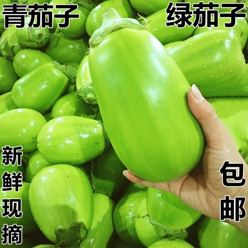 绿皮茄子河南特产青茄子绿茄子新鲜蔬菜净重1-5斤现摘现发农家菜