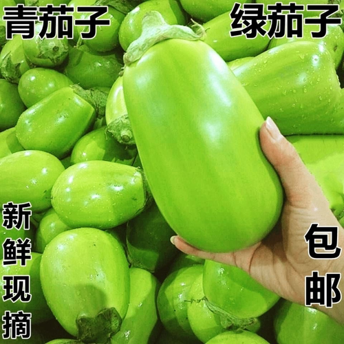河南农家新鲜绿茄子带箱五斤