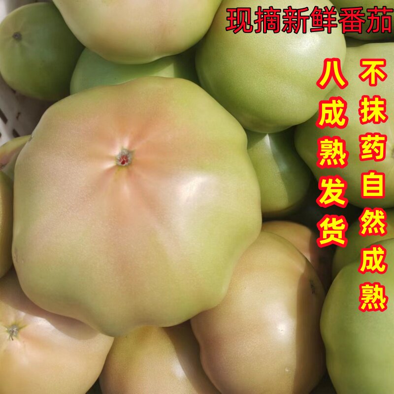 番茄新鲜西红柿小时候老味道沙瓢生吃农家自种西红柿炒鸡蛋番茄