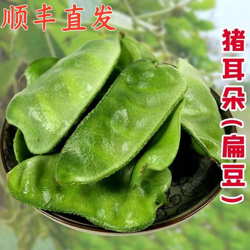 顺丰发货新鲜绿眉豆2026扁豆角新鲜峨眉豆现摘农家眉豆刀豆猪耳朵