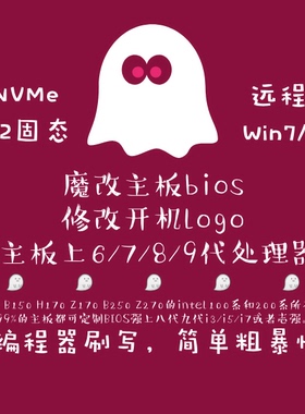 魔改BIOS修改LOGO添加NVME-1151上9代H110B150H170Z170B250Z270等