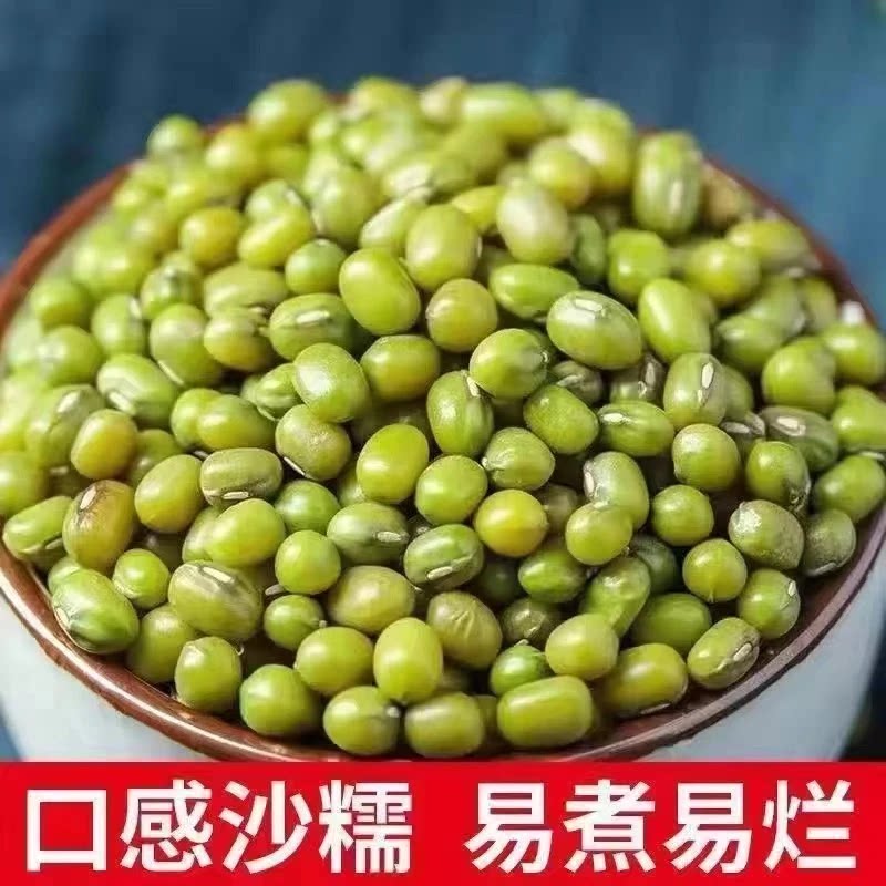 绿豆250g大颗粒新鲜绿豆农家自种笨绿豆薄皮绿豆汤五谷杂粮