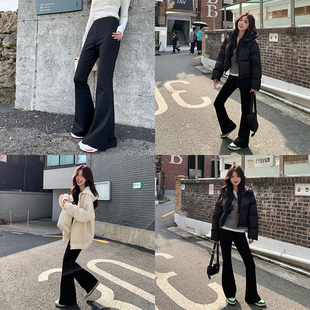 馬蹄褲 alex 高腰彈力顯瘦長褲 休閑褲 stevens黑色微喇叭褲 女春秋季