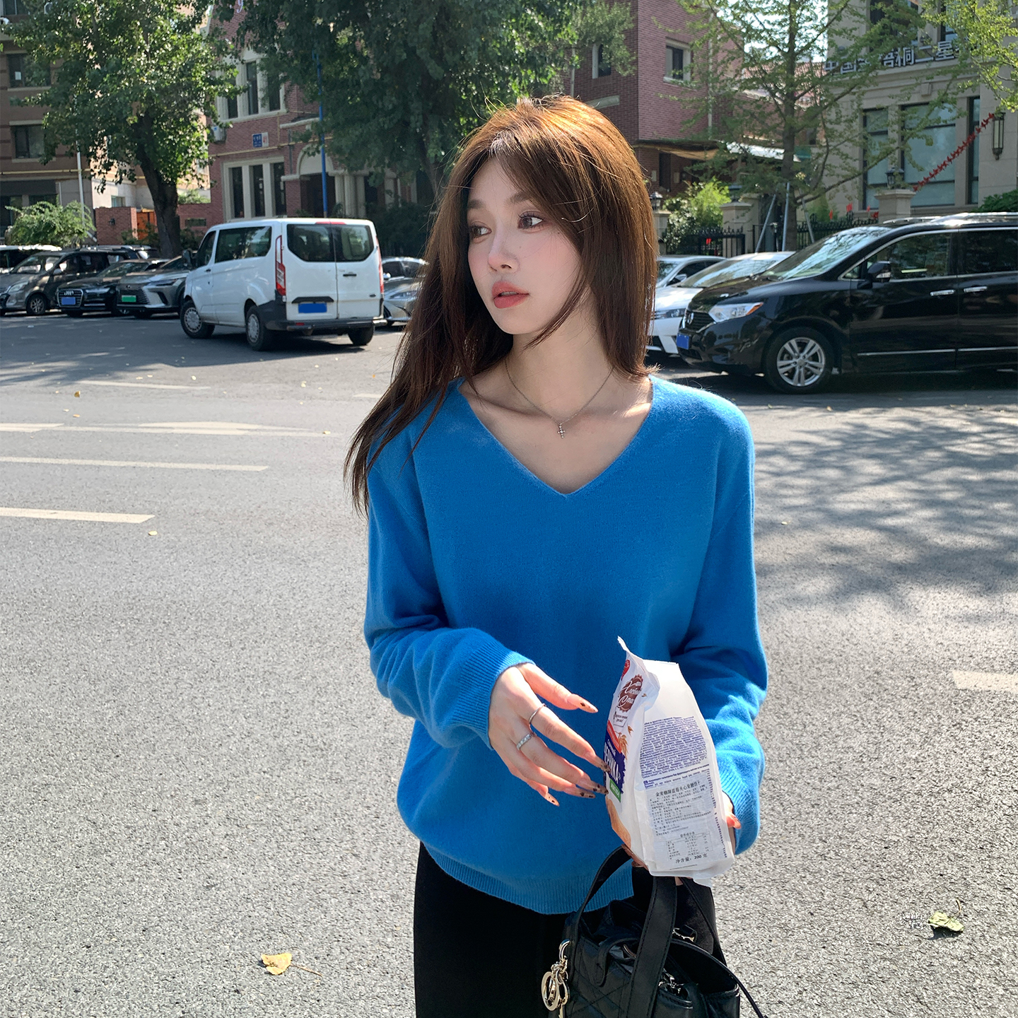 alex stevens蓝色V领毛衣女冬季新款慵懒长袖打底宽松针织衫上衣