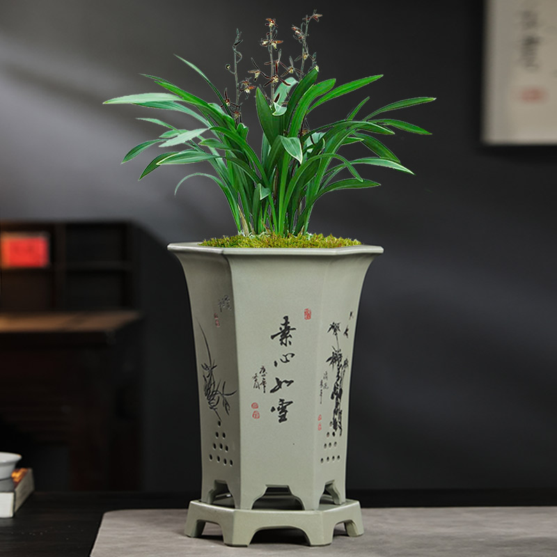 高档兰花盆宜兴紫砂花盆带底座精品六方高花盆墨兰建兰大花蕙兰盆