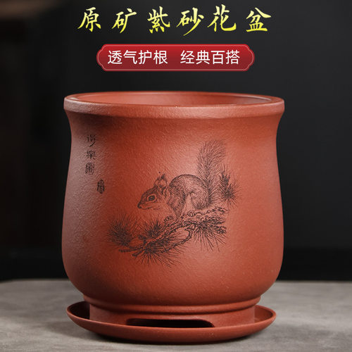君子兰花盆透气紫砂盆带托盘特价