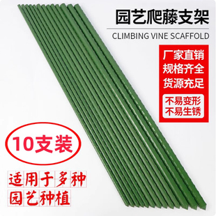 菜园爬藤架耐用花架大棚瓜果骨架防倒丝瓜支撑杆支架塑料种纤维杆