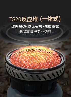 兄弟捷登TS20一体式反应堆炉头