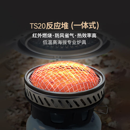 兄弟捷登TS20一体式反应堆炉头