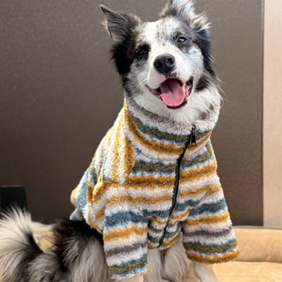 边牧衣服冬季加厚棉服中大型犬潮牌条纹拉链衣服拉布拉多金毛衣服
