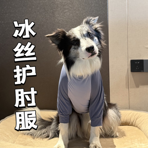 夏季冰丝狗狗护肘服关节保护衣服