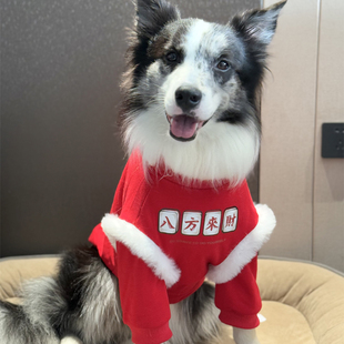 边牧衣服冬季加厚新年喜庆衣服大型犬过年衣服加绒衣服中型犬衣服