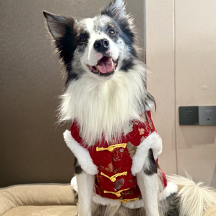 边牧衣服加厚冬季保暖棉服中大型犬新年无袖衣服狗狗喜庆过年衣服