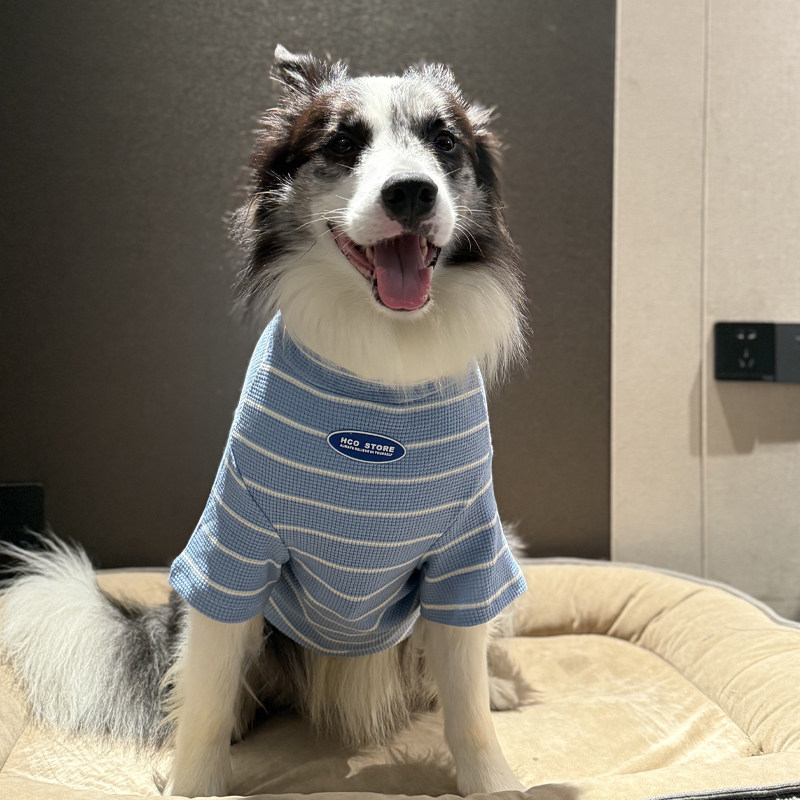 边牧衣服春秋款华夫格条纹衣服中大型犬舒适柔软衣服狗狗薄款衣服,宠物/宠物食品及用品,狗宠物服装/雨衣,淘宝优惠券,粉丝福利购,淘宝优惠卷
