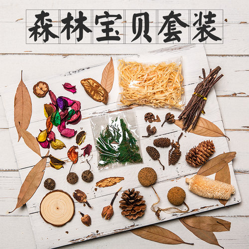 森系套装摄影道具复古风天然干花
