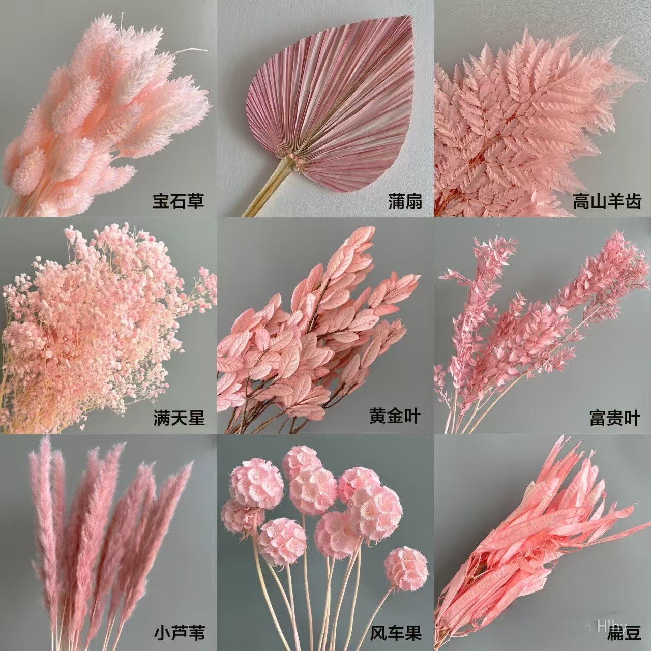 粉色系永生花材婚礼布景新年家居装饰迎客豆吊米龙须草蓬莱松年宵